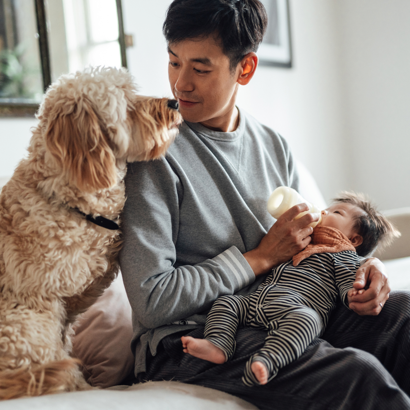 Father and baby with dog